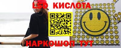 Альфа ПВП Обь