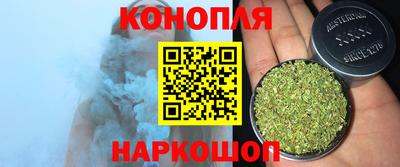 Альфа ПВП Обь