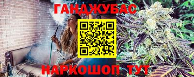 Альфа ПВП Обь