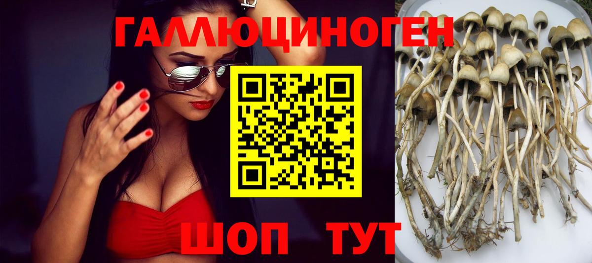 Псилоцибиновые грибы мицелий Скопин