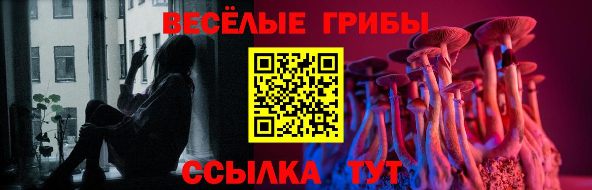 Псилоцибиновые грибы Cubensis  Галлюциногенные грибы ЛСД  Вход с VPN  Скопин 
