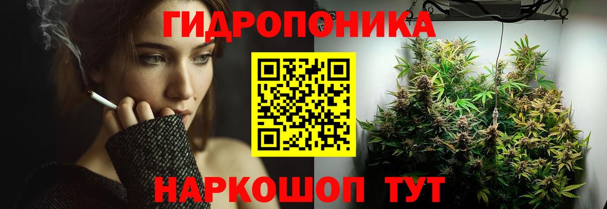 Бошки марихуана Bruce Banner  МАРИХУАНА OG Kush  Вход с VPN  Скопин 